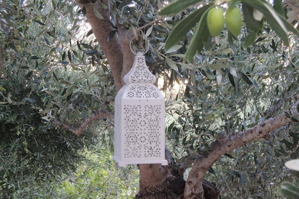 Kalliroe Apartments -Creta Agia Galini Esterno foto